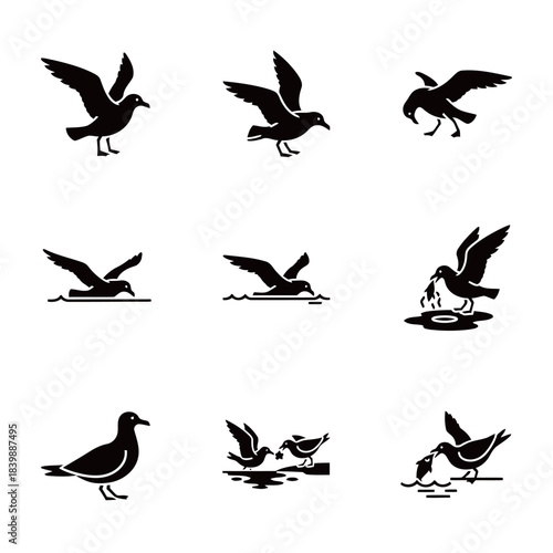 Seagull Bird Icons Collection Flying Walking and Feeding Poses