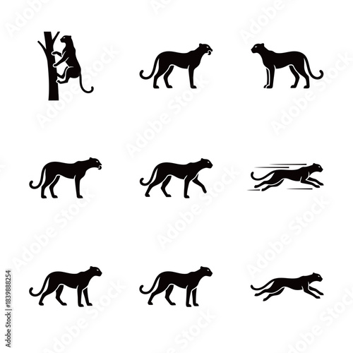Black Panther and Leopard Icons Set Running Walking and Climbing