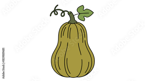 zucchini on a white background