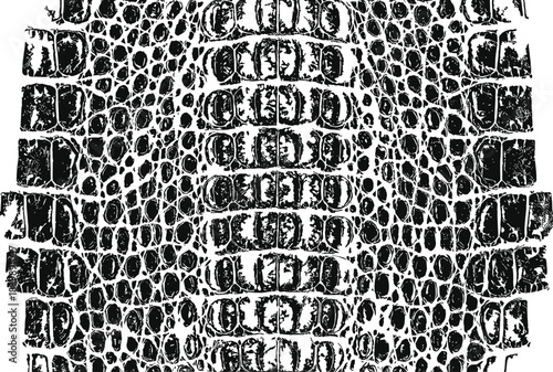 Detailed black reptile skin texture illustration featuring organic scale patterns for exotic fashion design, luxury branding, decorative backgrounds, and high-impact vector graphics