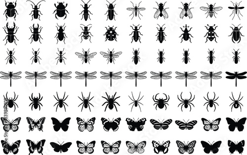 Vector illustration set of diverse insects, spiders, and butterflies in detailed black silhouettes, perfect for nature, wildlife, entomology, education, and design projects