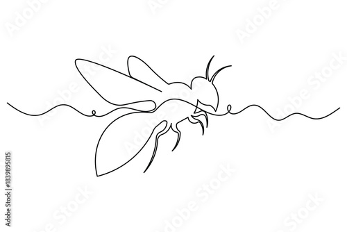 Minimalist vector illustration of insect in monoline style