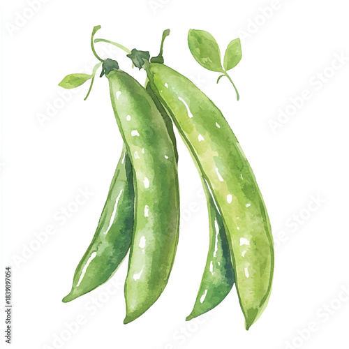 Three vibrant green pea pods with leaves.