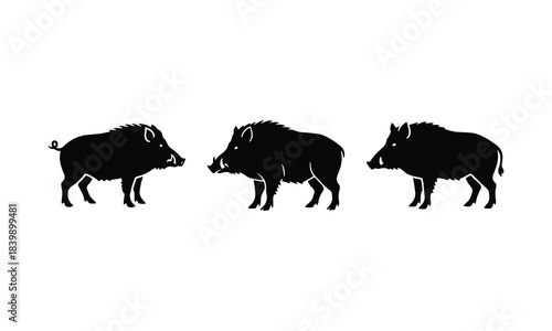 Wild boar silhouette set forest animal