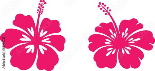  Pink Hibiscus Flower Silhouettes - Tropical Vector Set