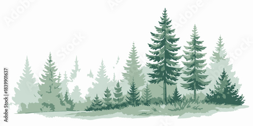 Christmas Soft watercolor pine arrangement at the top, creating a gentle and artistic winter holiday border