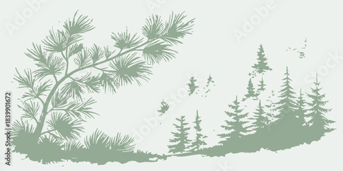Christmas Artistic watercolor pine arrangement across the top, offering a soft, gentle border for winter holidays