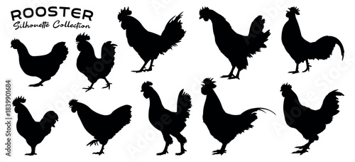 Rooster Silhouette Collection - Farm Chicken Cock Icons in Vector Set