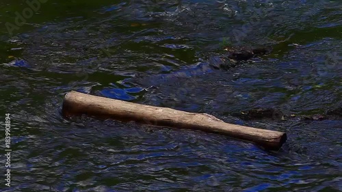 a video of Sams River in Olympic National Park Washington State