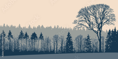 Christmas Winter forest silhouette along the top border under a starry night sky, creating a magical holiday atmosphere