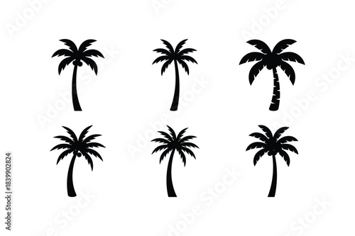 Coconut tree silhouette set tropical nature