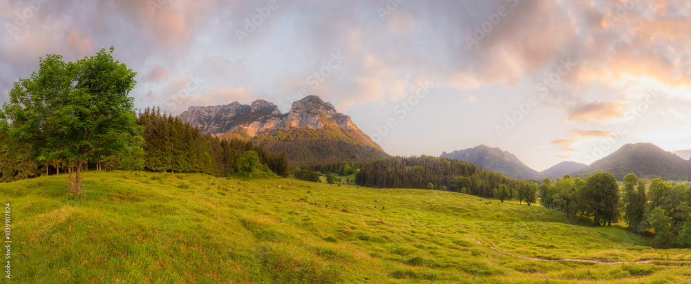 Fototapeta premium Meadow with road and bench during sunset in Berchtesgaden National Park