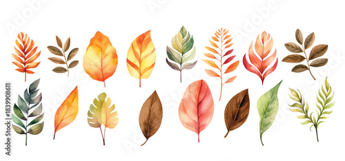 Set of Hand-Painted Watercolor Floral Leaves and Botanical Elements: Elegant Foliage Clipart Collection for Invitations, Branding, Packaging, Wedding Design, Scrapbooking and Creative Projects