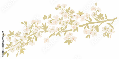 Delicate branch with blossoming pink and white flowers spring aesthetic