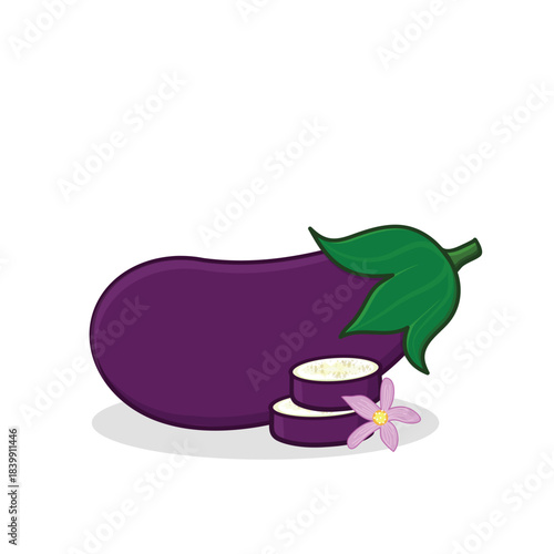 Purple eggplant. egg plant. slice eggplant