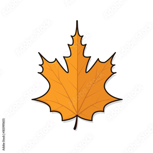 Autumn leaves. autumn leaf. autumn leaves background vectoor cartoon illustration