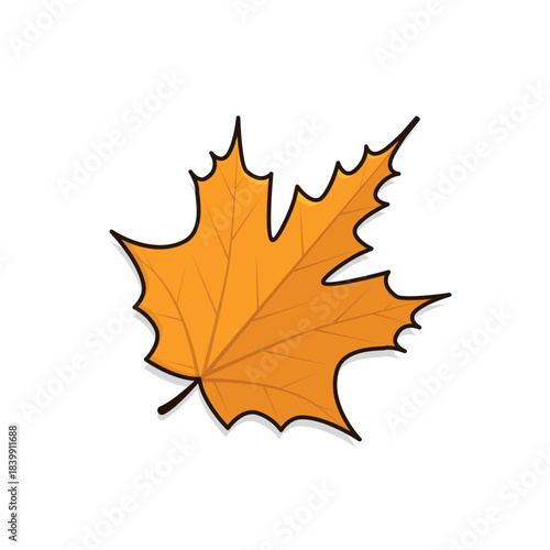 Autumn leaves. autumn leaf. autumn leaves background vectoor cartoon illustration
