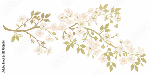 Delicate blossoming branch with white and pink flowers and green foliage