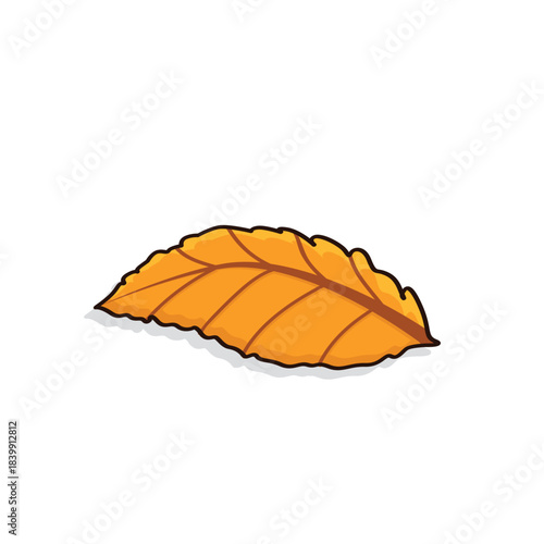 Autumn leaves. autumn leaf. autumn leaves background vectoor cartoon illustration