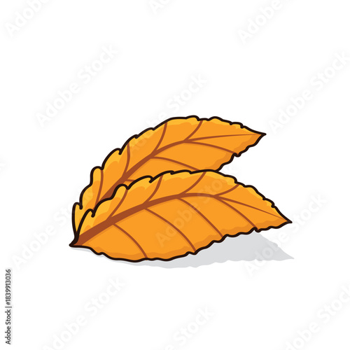 Autumn leaves. autumn leaf. autumn leaves background vectoor cartoon illustration