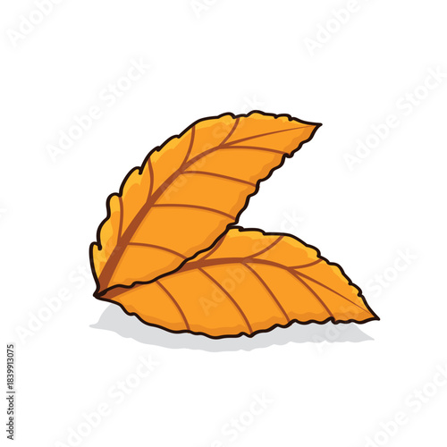 Autumn leaves. autumn leaf. autumn leaves background vectoor cartoon illustration