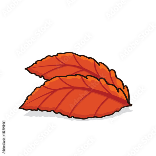 Autumn leaves. autumn leaf. autumn leaves background vectoor cartoon illustration
