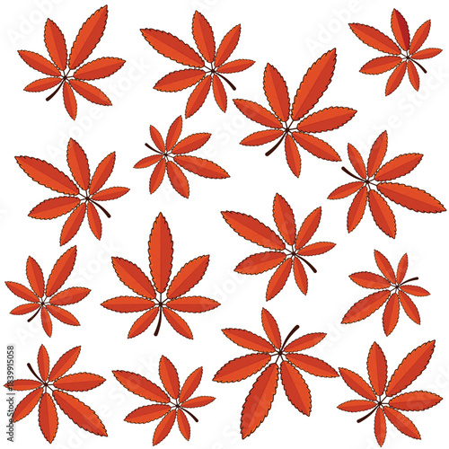 Autumn leaves. autumn leaf. autumn leaves background vectoor cartoon illustration