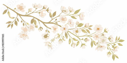 A delicate watercolor branch with blooming white and pale pink flowers