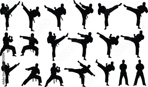 Extensive vector collection of martial arts and flexibility silhouettes: high kicks, splits, running, yoga, and meditation poses for sports, training, and wellness concepts.