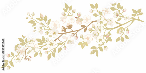 Delicate flowering branch with blossoming white and pink flowers on a twig
