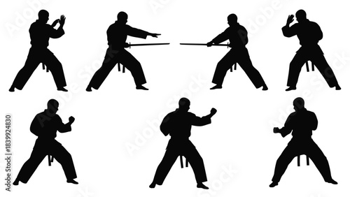 Collection of karate stances and martial arts poses silhouettes