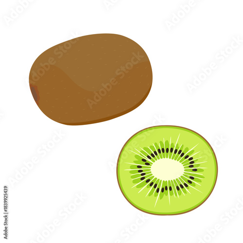 キウイ1個と断面のイラストセット