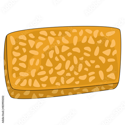 illustration of tempeh 