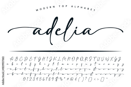 Adelia font and alphabet set of vector calligraphy letter a b c d script font isolated letters