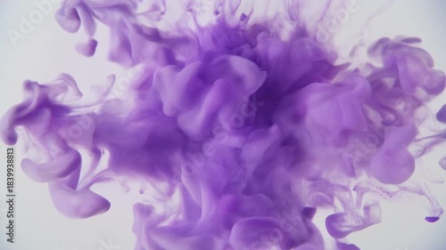Abstract Purple Ink Cloud Explosion in Water.