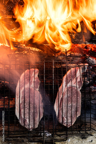 Grilling steaks over a campfire in the forest.