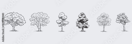 Minimal style cad tree line drawing, Side view, set of graphics trees elements outline symbol for architecture and landscape design drawing. outdoor forest garden section