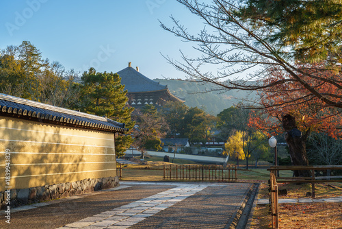 東大寺周辺の道 早朝 2025年12月7日（奈良）