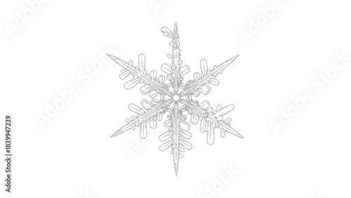 A close-up, highly detailed macro photograph of a single, intricate hexagonal dendrite snowflake, showcasing its delicate crystalline structure and unique natural beauty.