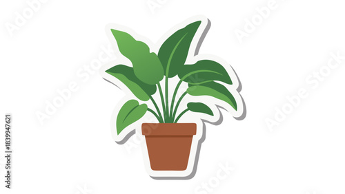 green plant in a pot