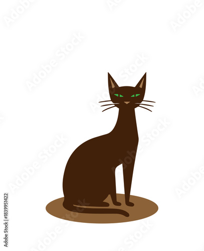 brown cat on a white background,