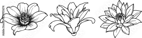 Flowers Set in Line Art Sketch Style. Minimalist Floral Templates. Outline Flower Design. Botanical Line Art Template for Print, Social Media, Fabric Design. Vector Illustration