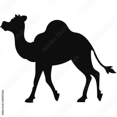 Camel Silhouette Islamic Illustration