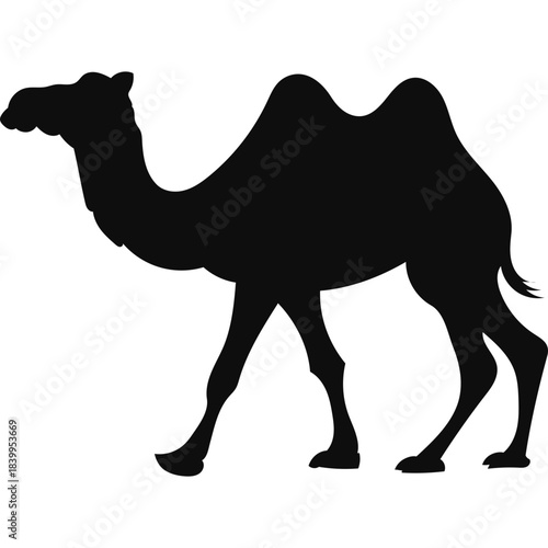 Camel Silhouette Islamic Illustration