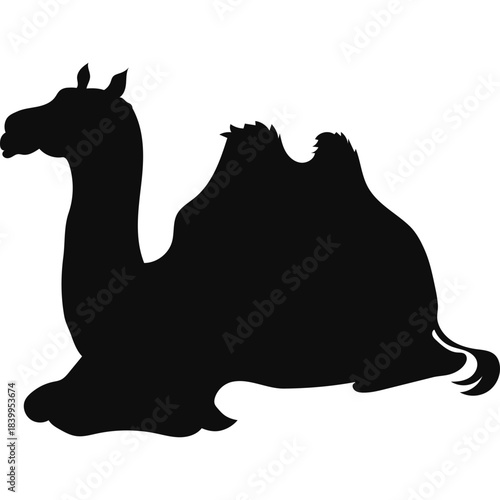 Camel Silhouette Islamic Illustration