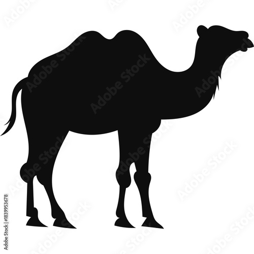Camel Silhouette Islamic Illustration