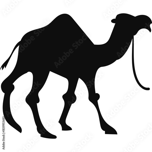 Camel Silhouette Islamic Illustration