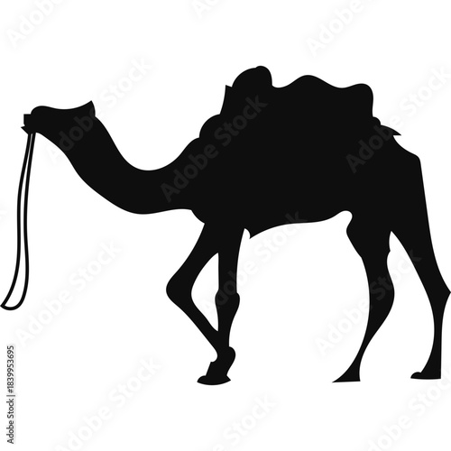 Camel Silhouette Islamic Illustration