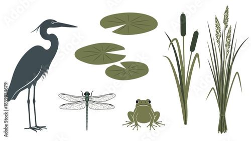 Vector art of a nature scene with a heron, frog, dragonfly, and plants from a vector set icon.