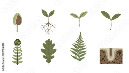 Vector art set of nature icons featuring various plant growth stages and types.